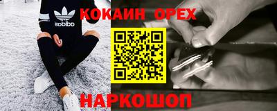 стафф Дубна