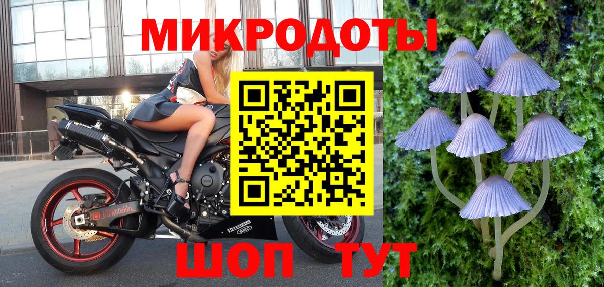 Псилоцибиновые грибы MAGIC MUSHROOMS Железноводск